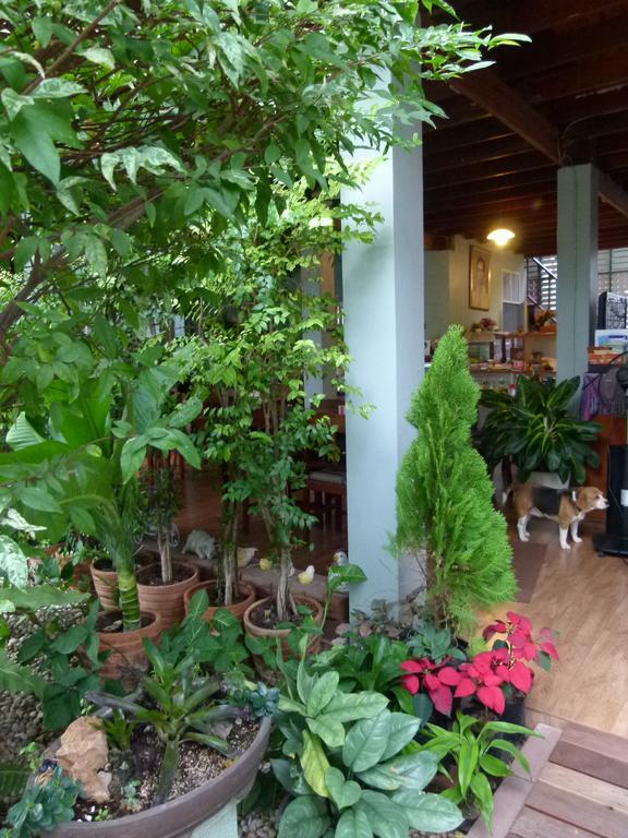 Bed and Breakfast Ban Boonchu Phra Nakhon Si Ayutthaya Zewnętrze zdjęcie